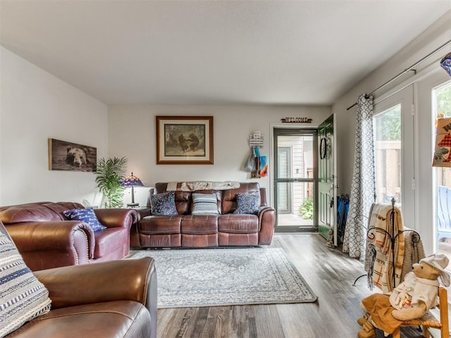 living area featuring wood finished floors
