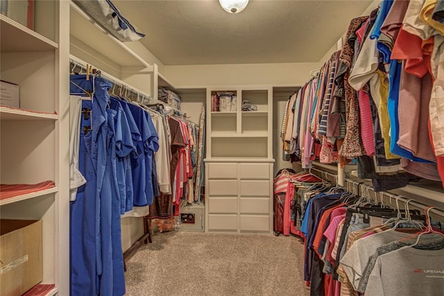 spacious closet featuring carpet flooring