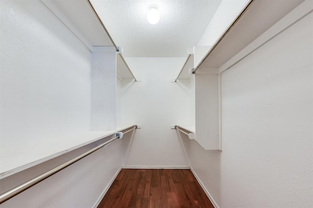 walk in closet featuring dark wood-style flooring