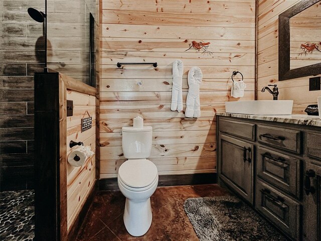 bathroom featuring wooden walls, toilet, and vanity