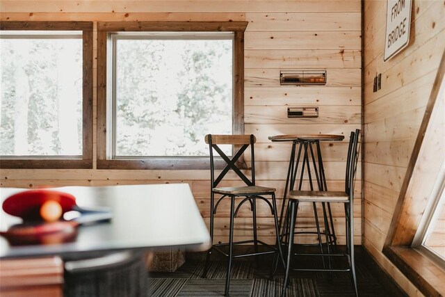 dining area featuring wood walls and a healthy amount of sunlight