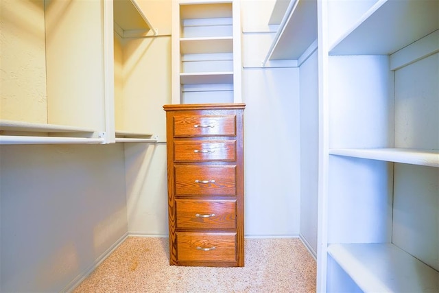 spacious closet with carpet floors