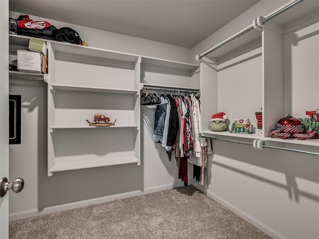 walk in closet with carpet flooring