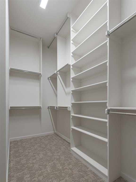 spacious closet with carpet