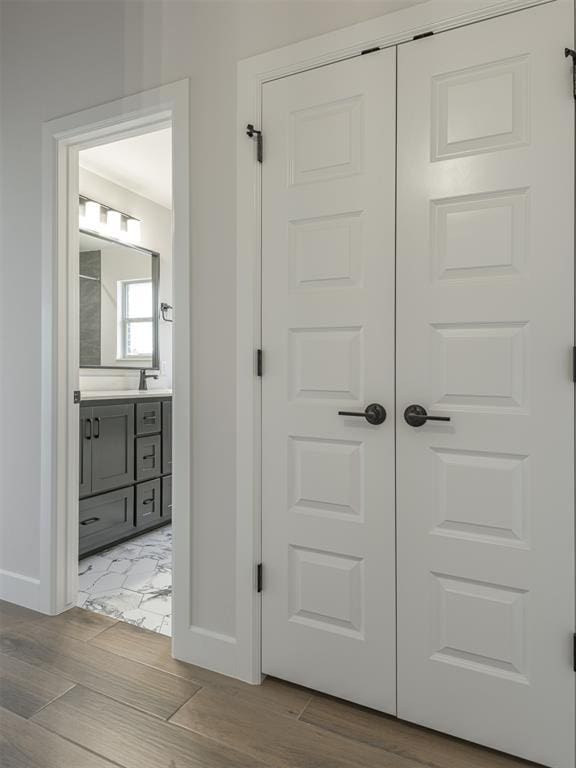 closet featuring a sink