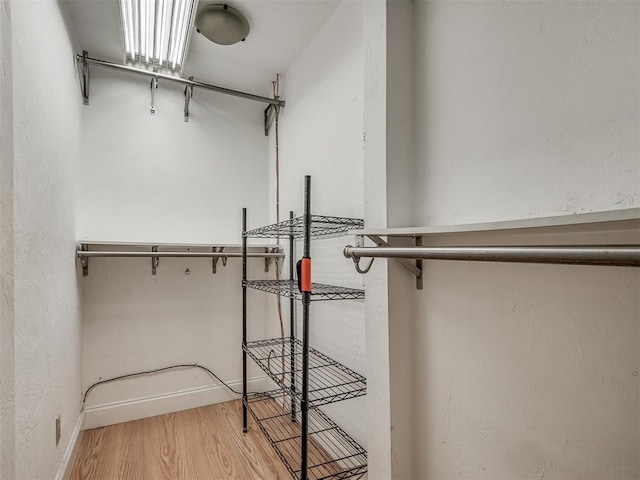 spacious closet featuring wood finished floors