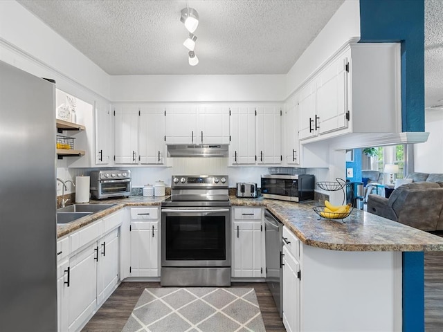 kitchen with dark wood-style flooring, a peninsula, under cabinet range hood, a sink, and stainless steel appliances