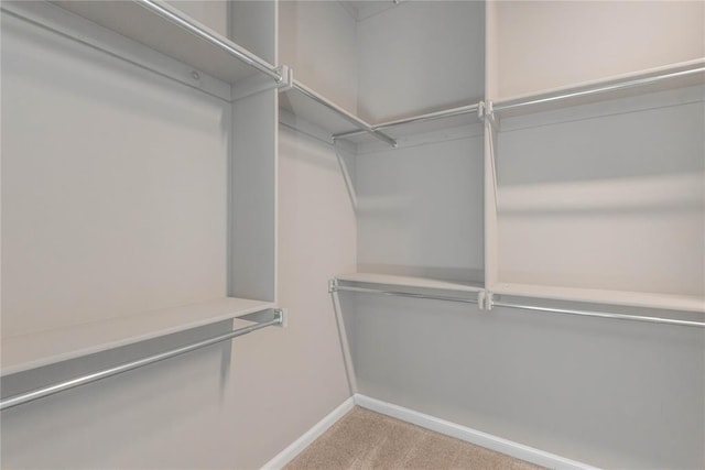 7217 SW 120th St, Oklahoma City, OK 73173 - spacious closet with carpet flooring