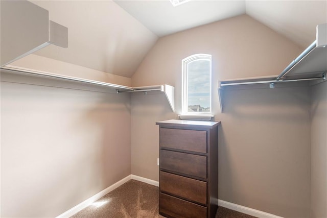 7217 SW 120th St, Oklahoma City, OK 73173 - spacious closet with lofted ceiling and carpet flooring