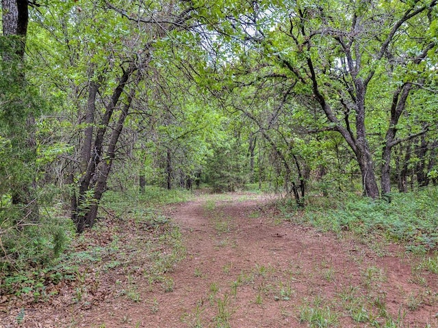 view of local wilderness featuring a forest view