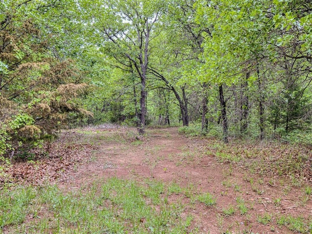 view of local wilderness with a view of trees