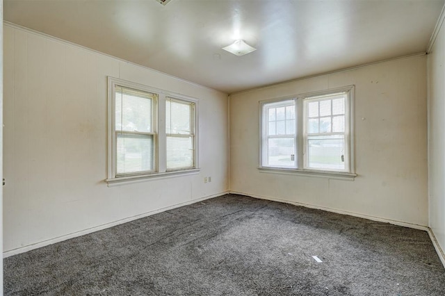 carpeted empty room featuring crown molding