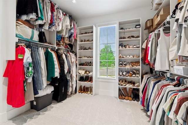 spacious closet featuring carpet