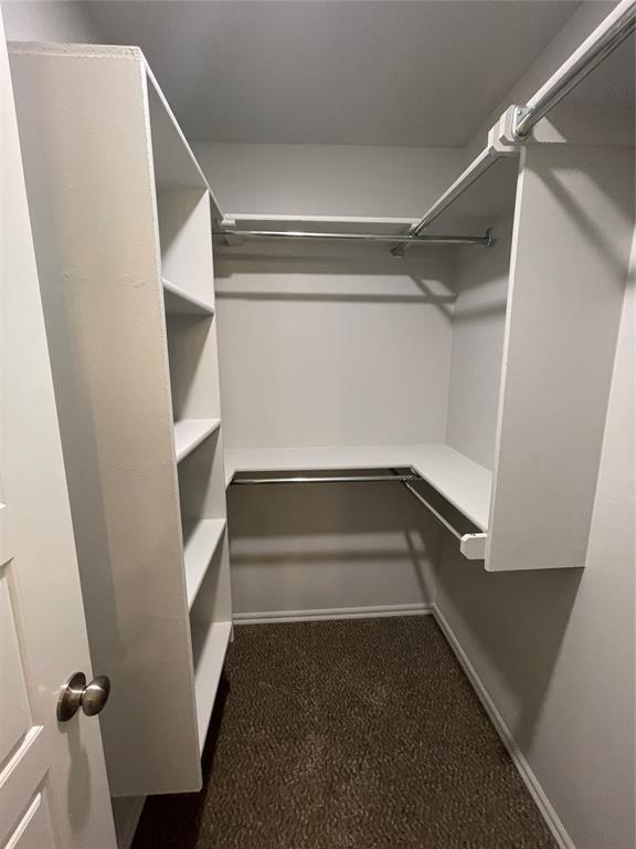 spacious closet featuring dark carpet
