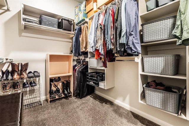 walk in closet featuring carpet floors