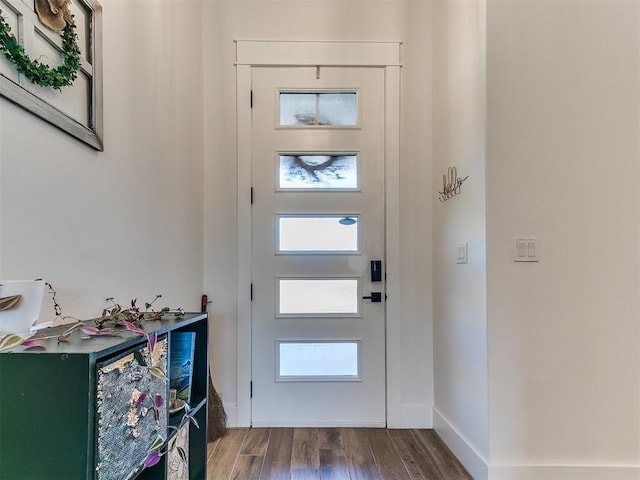 foyer featuring a healthy amount of sunlight, baseboards, and wood finished floors