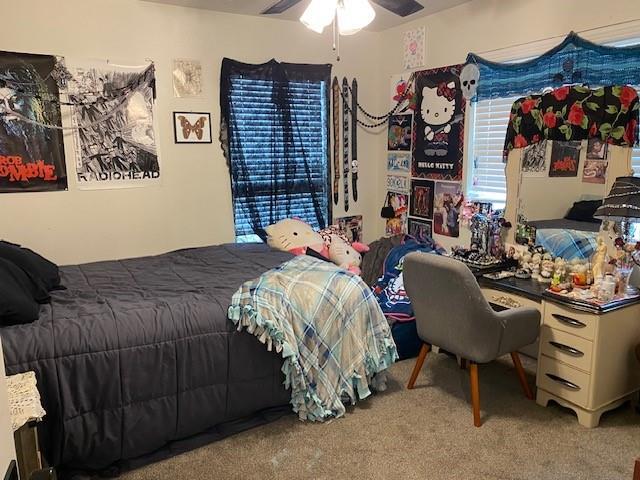 bedroom with carpet floors