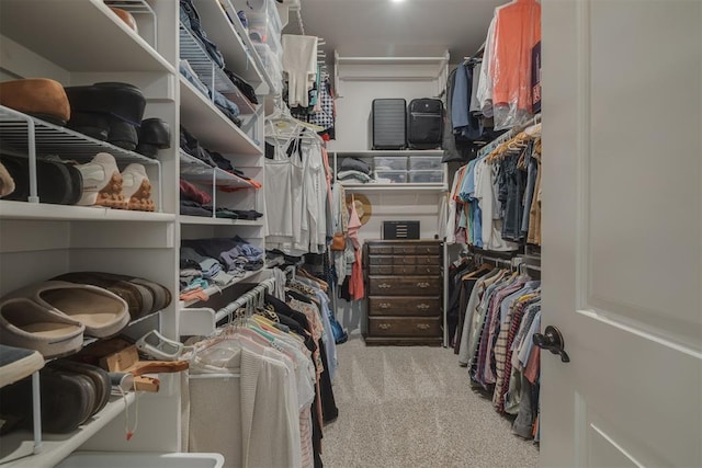 spacious closet featuring carpet