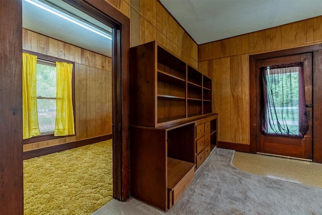 801 Lincoln St, Ryan, OK 73565 - carpeted entrance foyer with wood walls and plenty of natural light