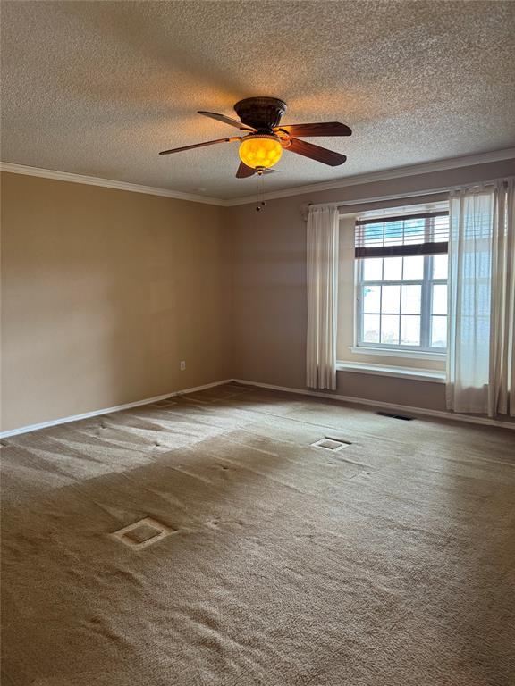 carpeted spare room featuring a textured ceiling, visible vents, a ceiling fan, and ornamental molding