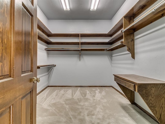 3601 Rena Dawn Ln, Edmond, OK 73013 - walk in closet with light carpet
