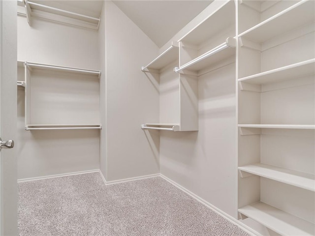 walk in closet featuring carpet flooring