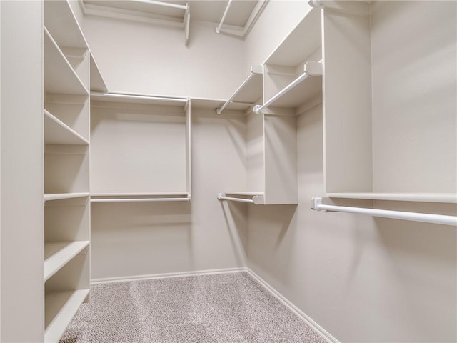 walk in closet featuring carpet floors