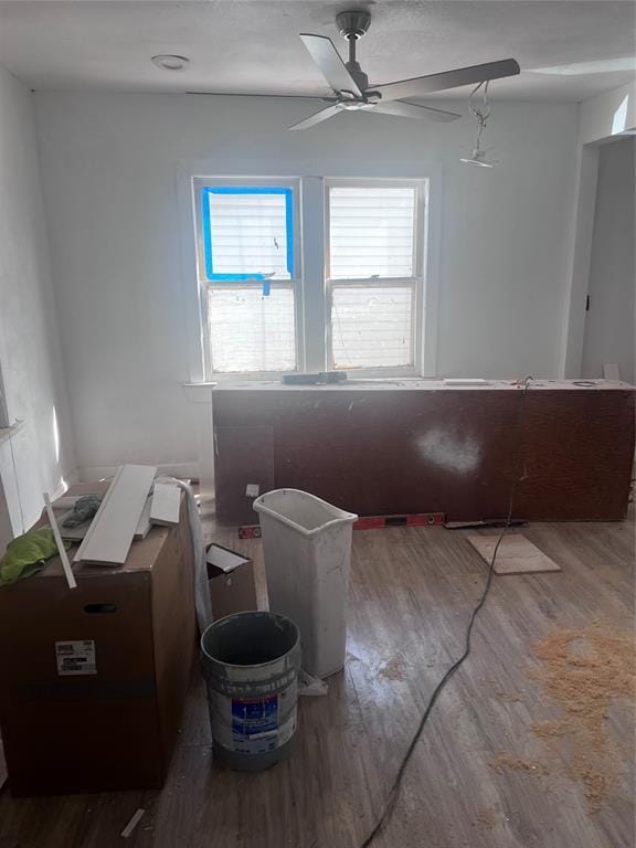interior space featuring wood finished floors and ceiling fan