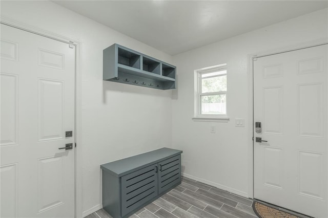mudroom featuring baseboards and wood tiled floor