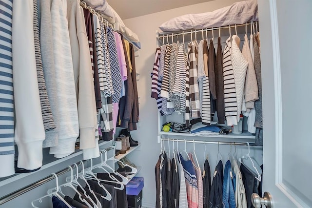 view of spacious closet