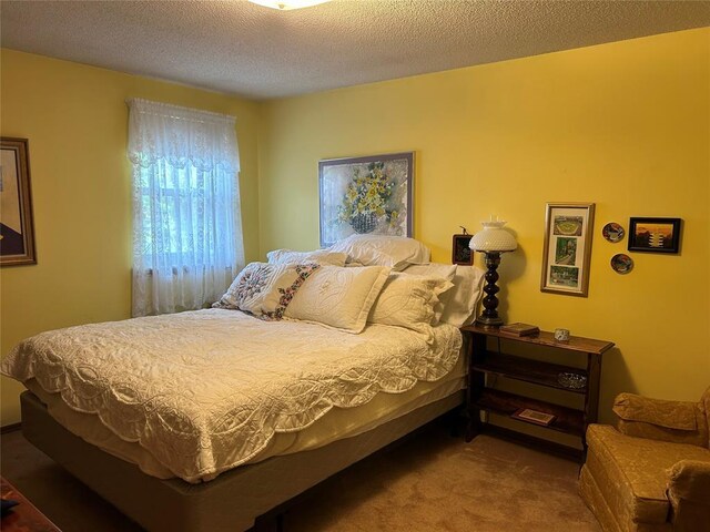 bedroom featuring carpet floors and a textured ceiling