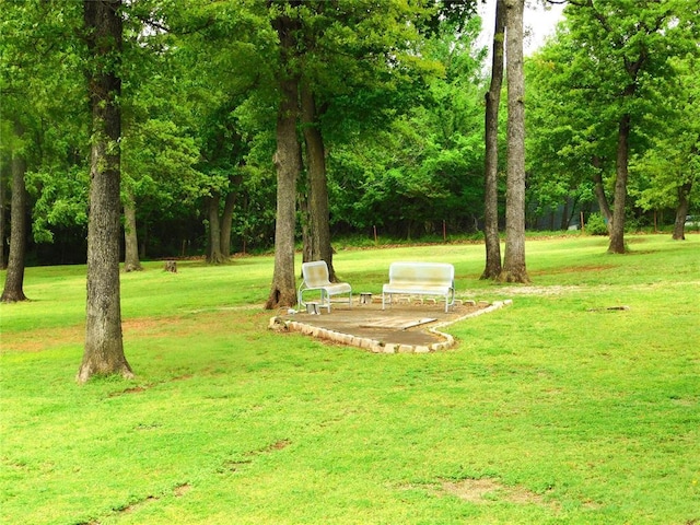 view of yard