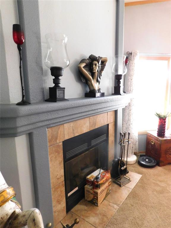 room details with a tiled fireplace and carpet flooring
