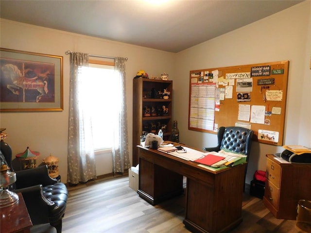 office area featuring wood finished floors