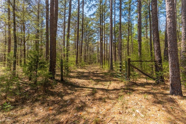 view of landscape featuring a forest view