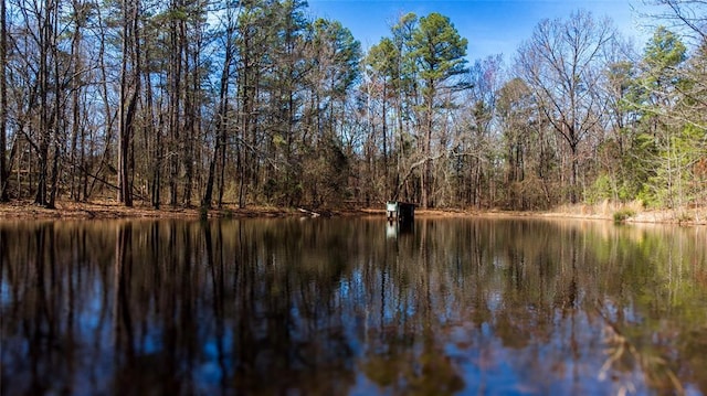 property view of water featuring a wooded view