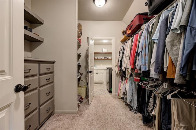 2201 Creek Side Cir, Moore, OK 73160 - spacious closet with light colored carpet