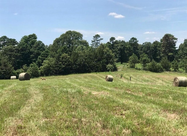 view of yard featuring a rural view