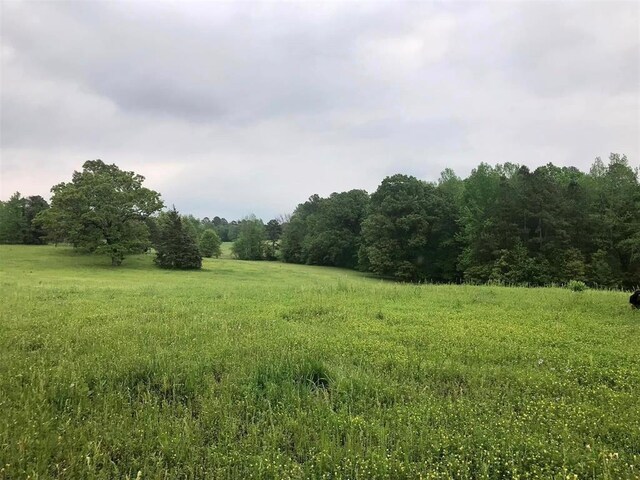 view of local wilderness with a rural view