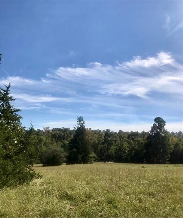view of local wilderness with a wooded view