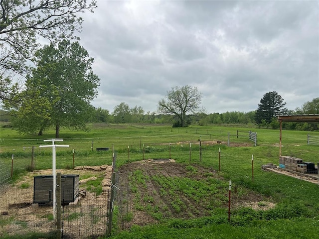 view of yard with fence, a vegetable garden, and a rural view