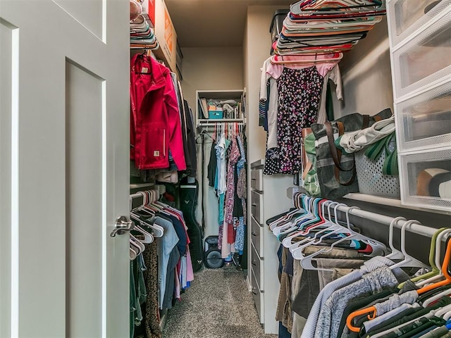 spacious closet featuring carpet flooring