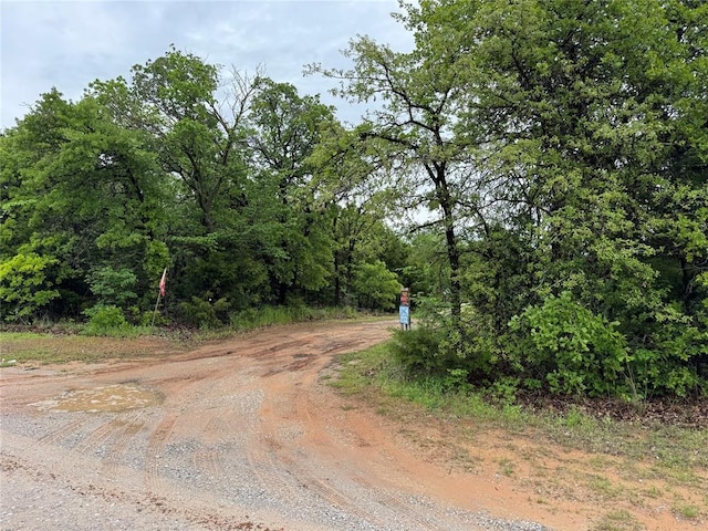 333775 Oak Hollow Dr, Wellston, OK 74881 - photo 33