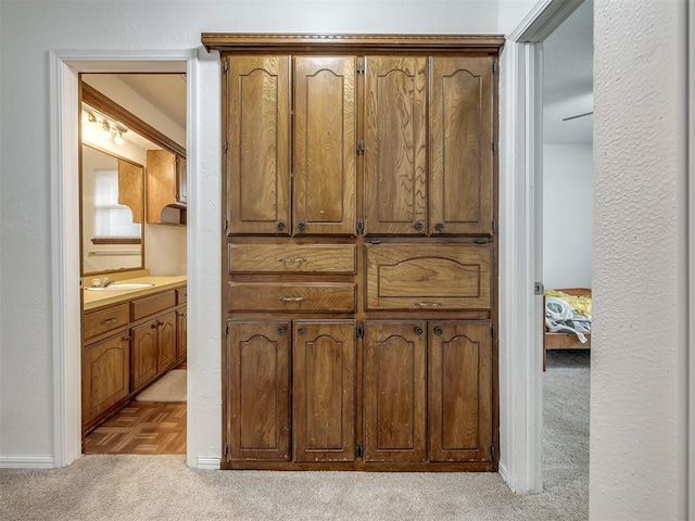 interior details with a sink and carpet flooring