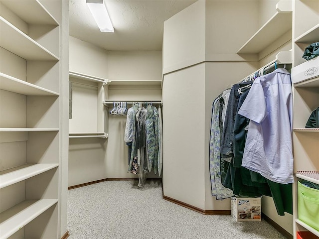 walk in closet with carpet flooring