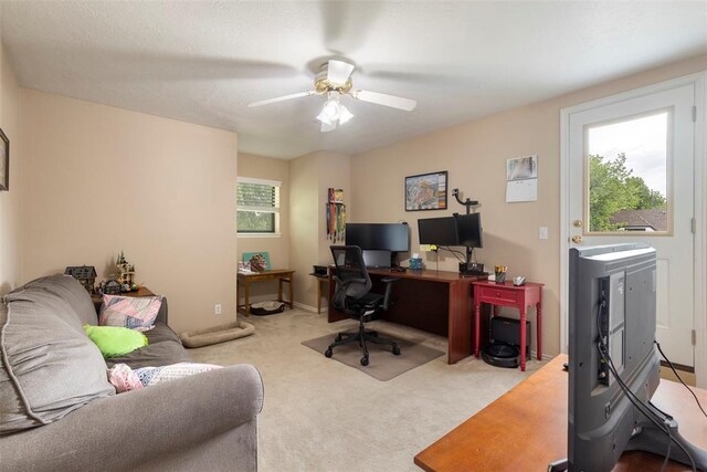 office featuring carpet and ceiling fan