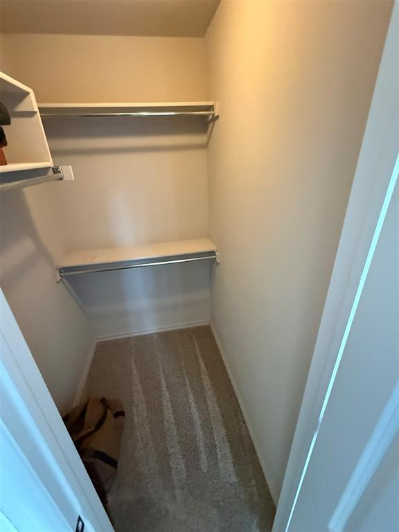 spacious closet with carpet