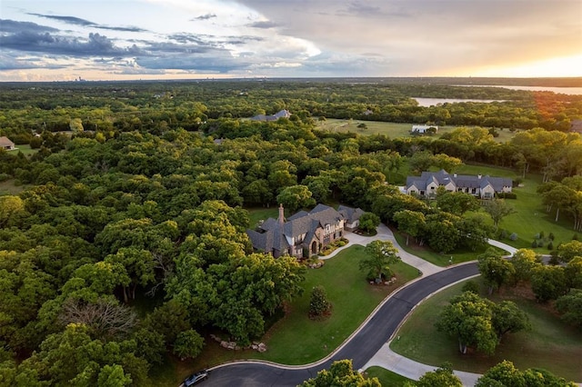 aerial view at dusk of a forest view