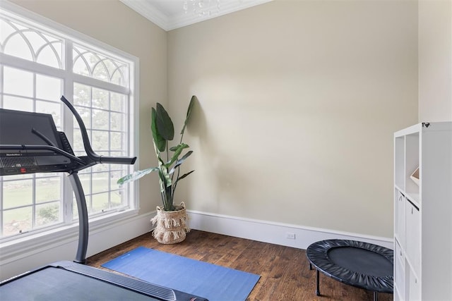 exercise room with ornamental molding, wood finished floors, and baseboards