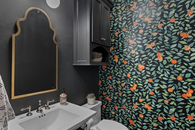 bathroom featuring a sink and toilet